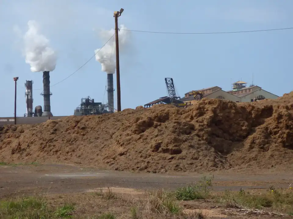 Bagasse stockpiled at a sugar mill for fuel